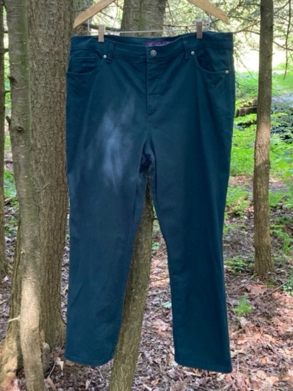 Gloria Vanderbilt Amanda Jeans Missy Size 18 Short!